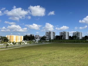 Estimated Preview Launch Selling Price PSF For Lentor Hills Residences Condo at Lentor Hills Road Parcel A by Guocoland and Hong Leong